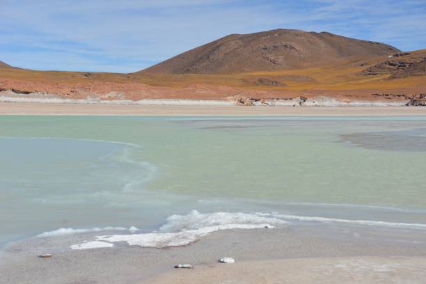 istock Atacama, National Reserve de los Flamengos 641488432