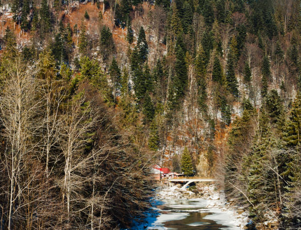 fantastica vista sulla foresta di montagna dell'abete invernale e sul piccolo ponte - winter stream river snowing foto e immagini stock