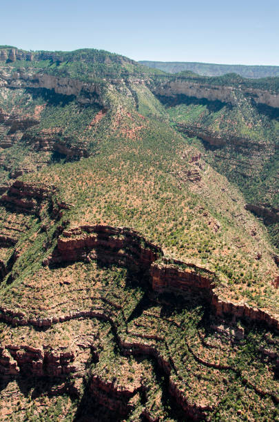 istock Grand Canyon National Park 641490866