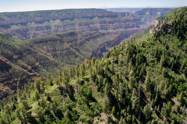 Grand Canyon National Park in America