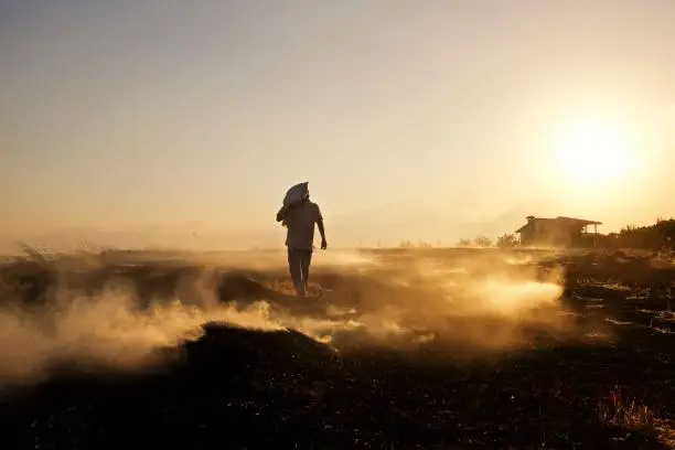 Photo of Farmer in field