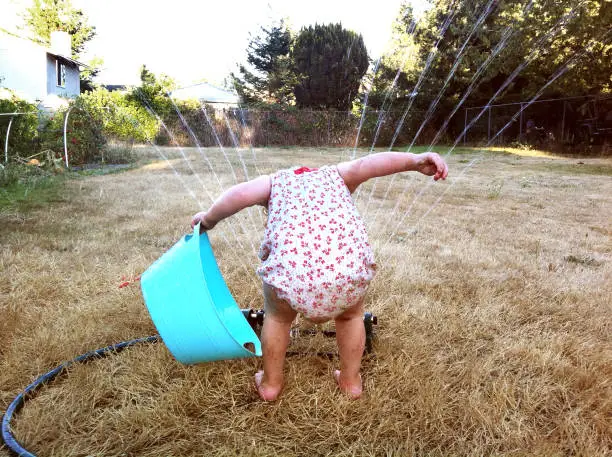A cute toddler aged girl sticks her head into the water spraying from the sprinkler.  The angle gives the illusion that she has no head; quirky moments.