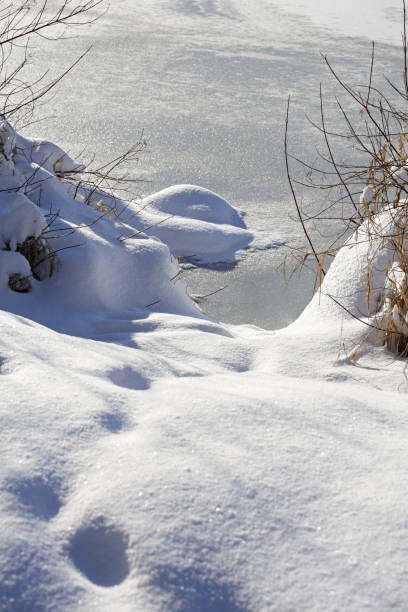 istock Snow at the Water's Edge, Fraser Valley, British Columbia, Canada 641498094