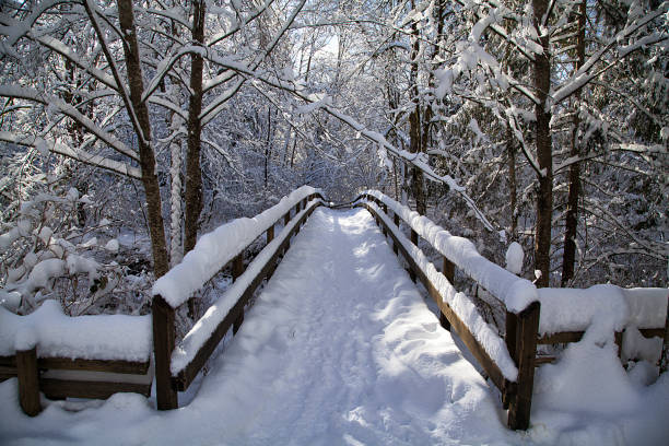 istock Bridge to the forest in the snow, Canada 641500582