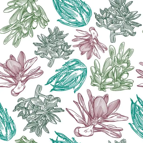 Vector illustration of Succulent Pattern