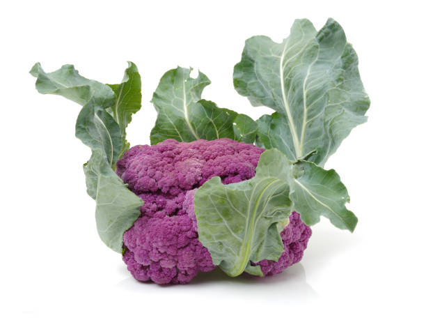 istock Isolated fresh lila cauliflower   on white background 641501372