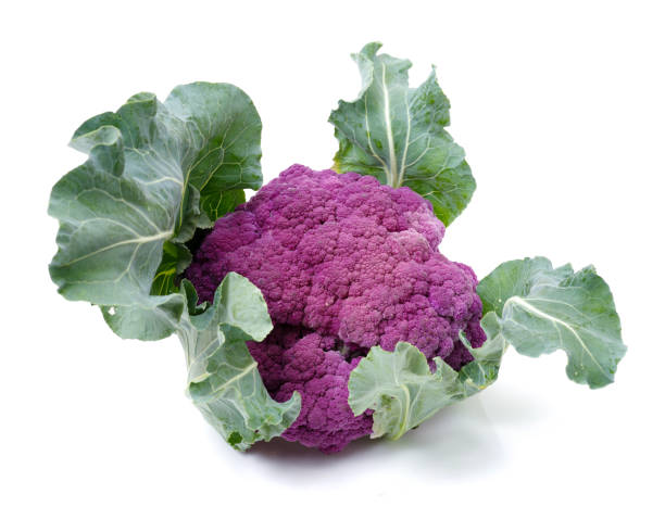 istock Isolated fresh lila cauliflower   on white background 641501784