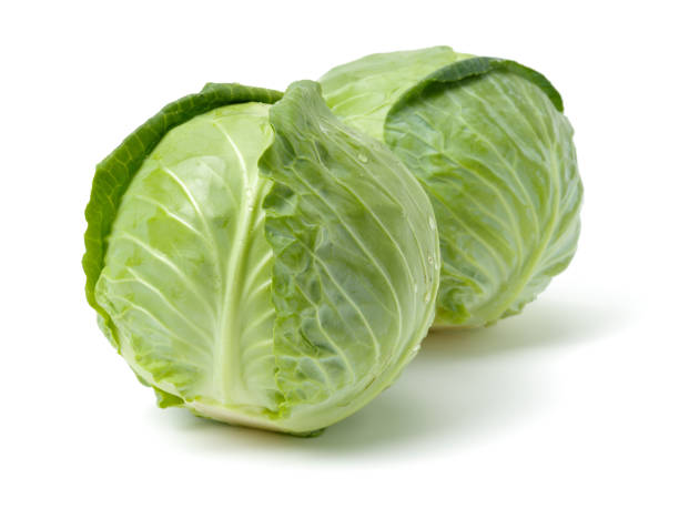 chou-vert frais isolé sur fond blanc - green cabbage photos et images de collection