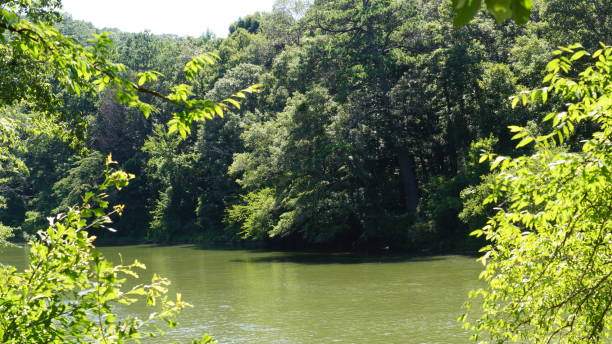 istock A lake in the Wilderness. 641505958