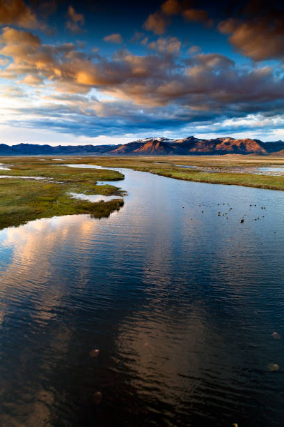 istock Wetlands in California at Sunset. 641510444