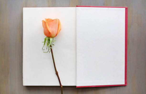 istock Rose flower on open book against wood background. 641510866