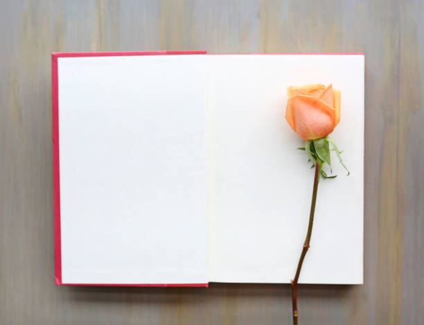 istock Rose flower on open book against wood background. 641510932