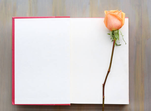 istock Rose flower on open book against wood background. 641510974