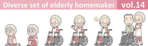Diverse set of elderly homemaker, EPS10 vol.14 Diverse set of elderly homemaker, EPS10 vol.14 grey hair on floor stock illustrations