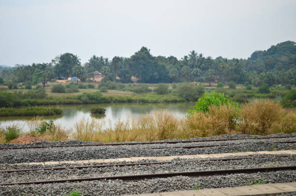 Railway Tracks passing through countryside