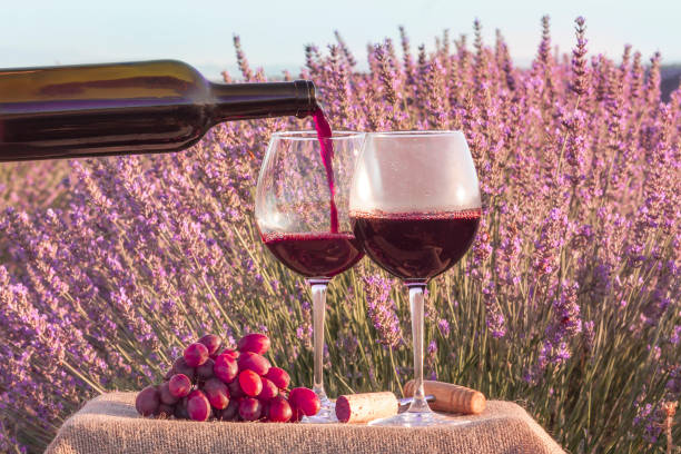 istock Red wine poured in lavender field, toned photo 641516734