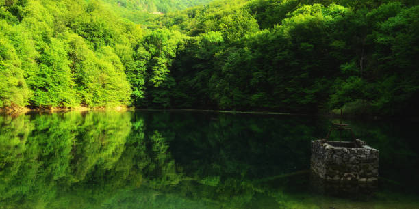 istock reflection of the lake 641522942