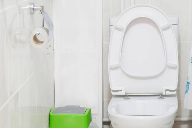 istock Toilet bowl close up 641524118
