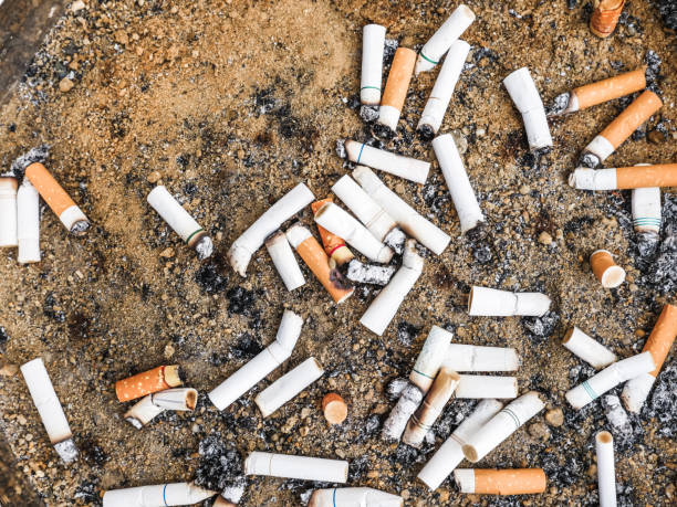 istock Smoked Cigarettes Butts in ashtray 641525180