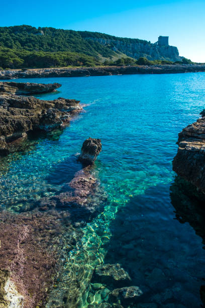 istock coastline landscape, Porto Selvaggio, Italy 641529318