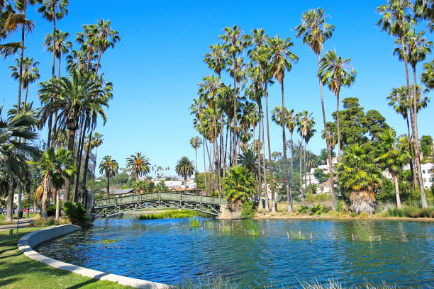 Beautiful Park