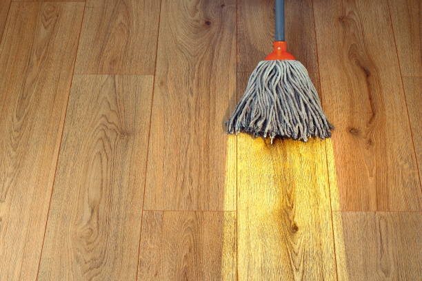 istock cleaning wooden floor with a mop 641530010