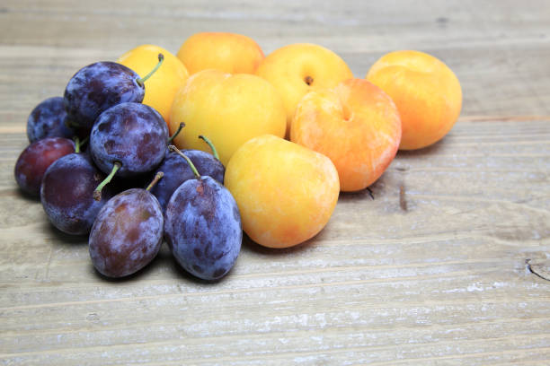 istock Prune and plum in a white background 641530826