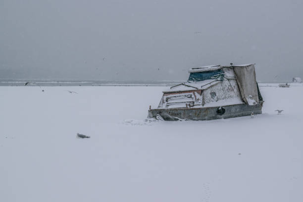 istock Frozen Danube river with captured boats and seagulls 641531174