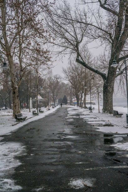 istock Frozen pathway in the park by the river on a snowing winter day 641531222