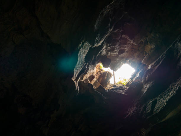 istock Mystery cave hole with beautiful sunlight in deep forest 641532162