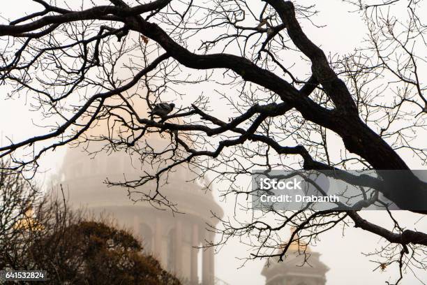 St Isaacs Cathedral In The Fog Stock Photo - Download Image Now - Architecture, Bird, Built Structure