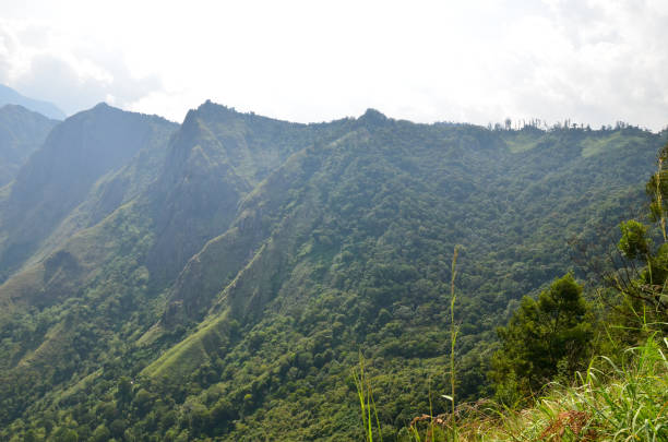 istock Misty mountains of Munnar, Kerala, India 641535102