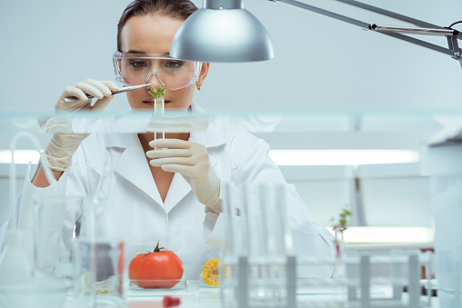 Woman doing GMO test in laboratory