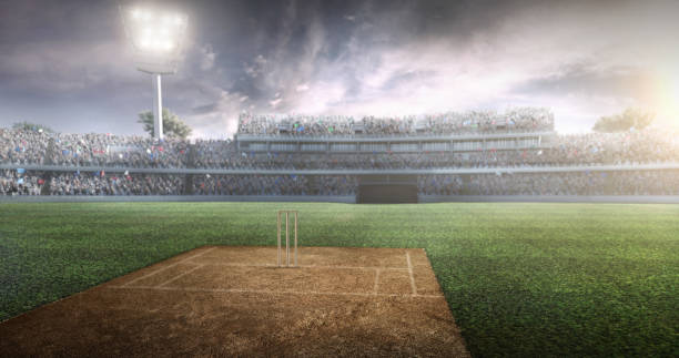 cricket : stade de cricket - wicket photos et images de collection