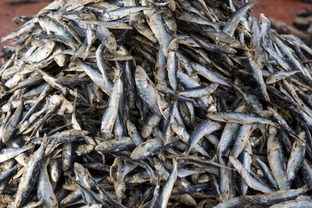 istock dried fish on a market at Flores 641548292
