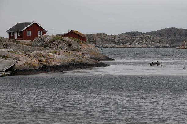 the swedish coast