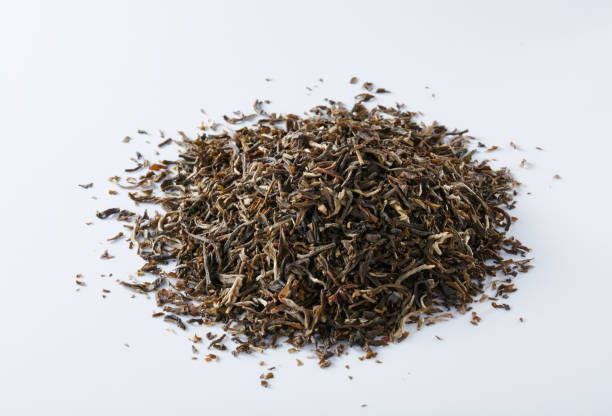 istock Tea on a white background, European-style tea 641560934