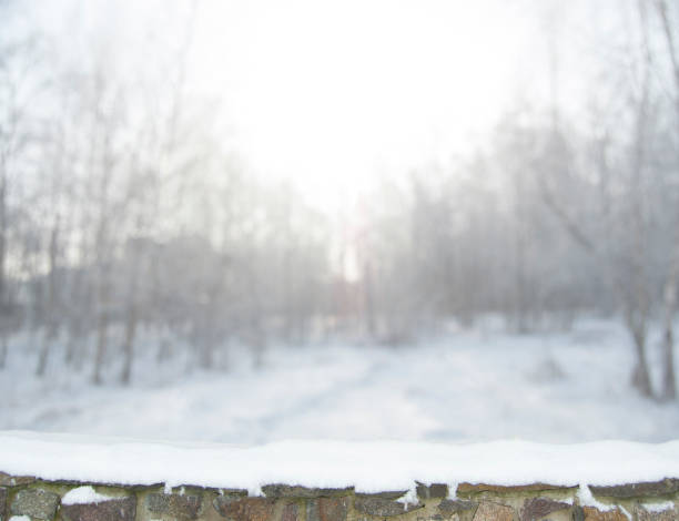 istock Blurred winter forest background in snow. Old stone fence on the foreground 641561294