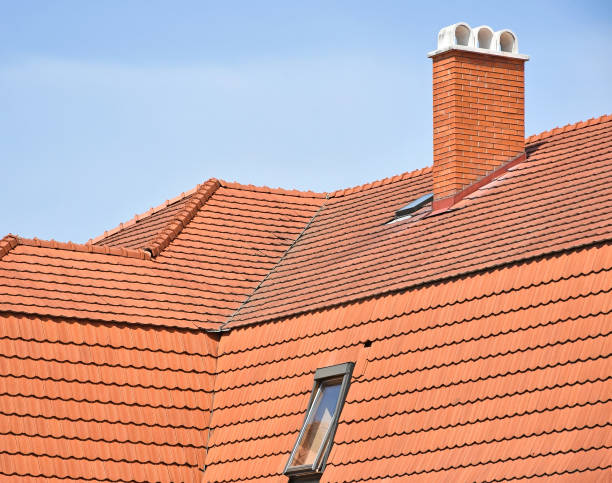 istock Roof tiles and smoke stack of a building 641564430