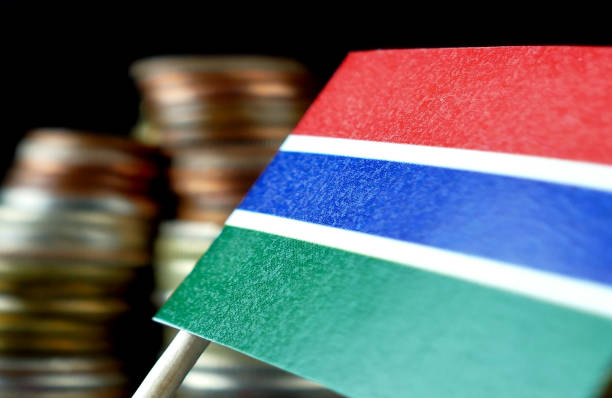 istock Gambian flag waving with stack of money coins macro 641569012