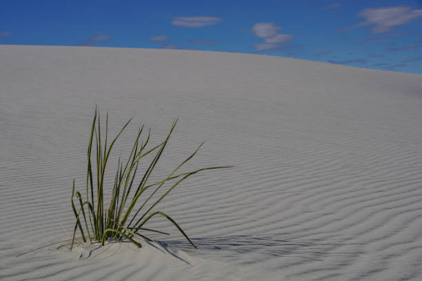 istock White Sands National Monument in New Mexico 641578906