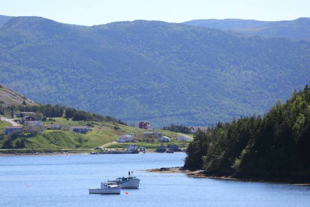istock Landscape in Gros Morne, Newfoundland, Canada 641579364