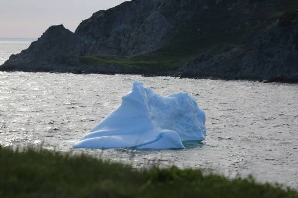 istock Iceburg in Newfoundland, next to rocky cliffs 641579556