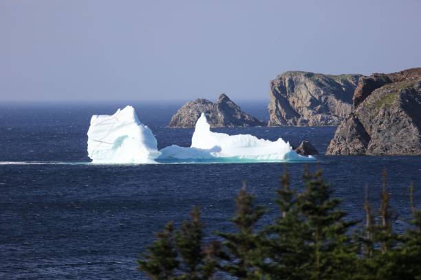 istock Iceberg in Newfoundland, next to rocky cliffs 641581070