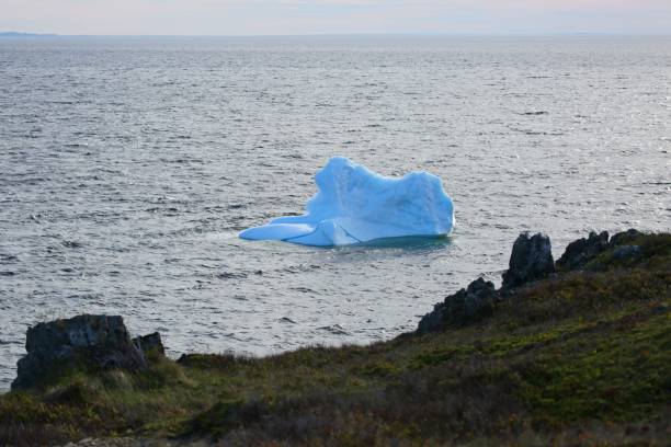 istock Iceberg in Newfoundland, next to rocky cliffs 641581724