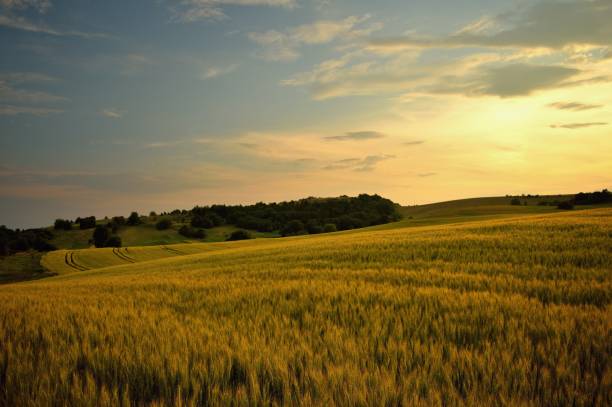 istock Slovakian landscape 641582818