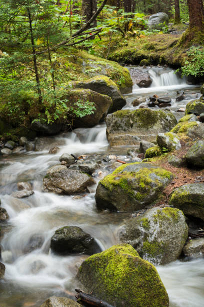 istock Pretty waterfall in Tongass National Forest 641584490