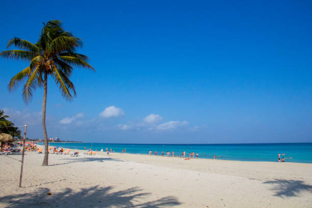 istock Cuban Caribbean sandy beach with palm trees, Varadero 641590746