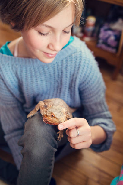 istock Young girl playing with lizard pet in her bedroom. 641596746