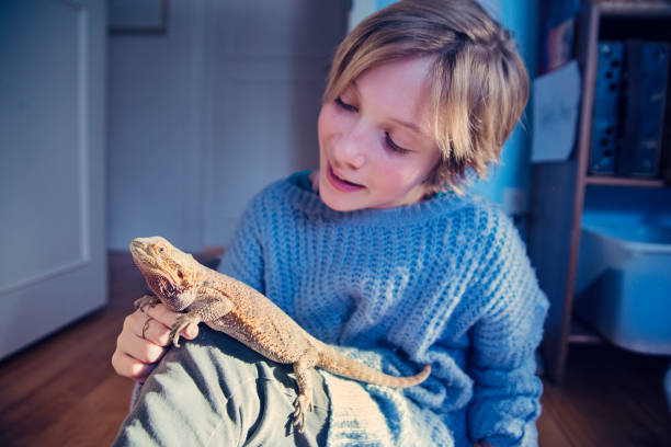 istock Young girl playing with her lizard pet in her bedroom. 641597496